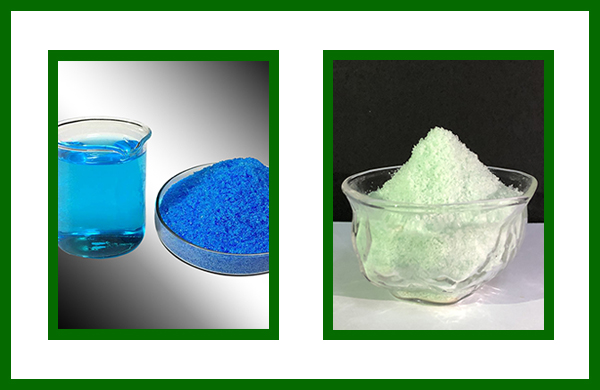 硫酸铜在水产养殖中的作用